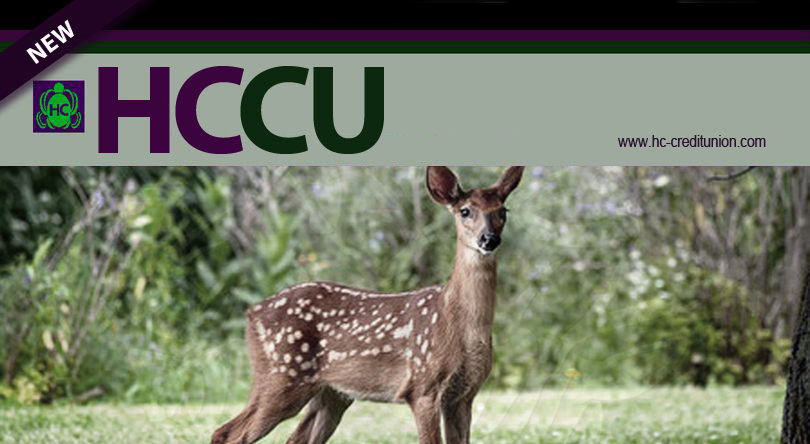 Hart Culture C.I.C. [United Kingdom Nubia]